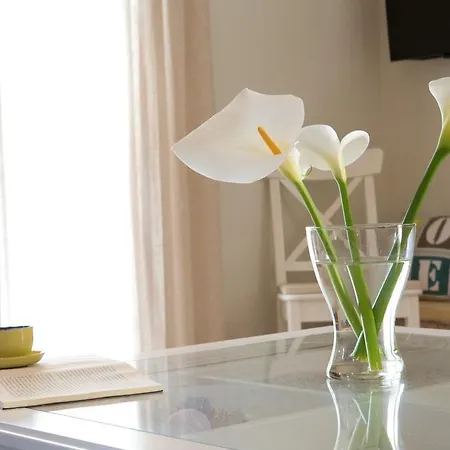 Дом отдыха Ivi *